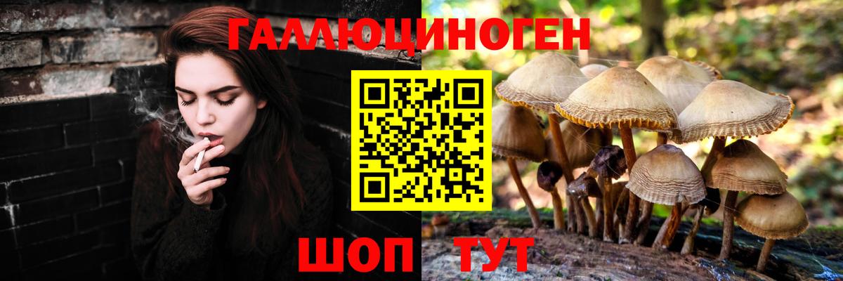 Галлюциногенные грибы прущие грибы  Вход с VPN  Лиски  Галлюциногенные грибы Magic Shrooms 